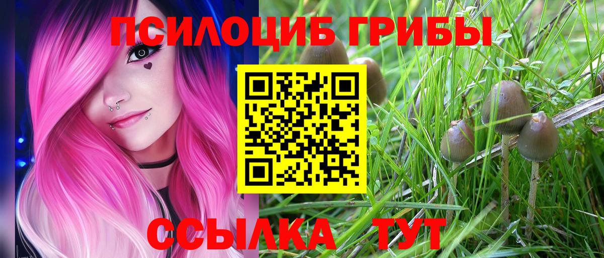 Псилоцибиновые грибы ЛСД Аксай