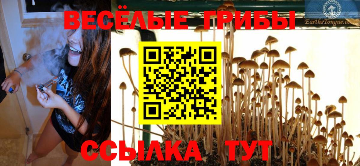 Аксай  даркнет сайт  Вход с VPN  Псилоцибиновые грибы Psilocybine cubensis 